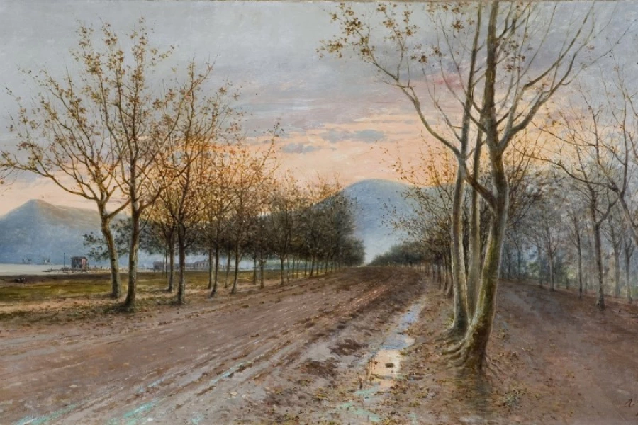 Strada alberata